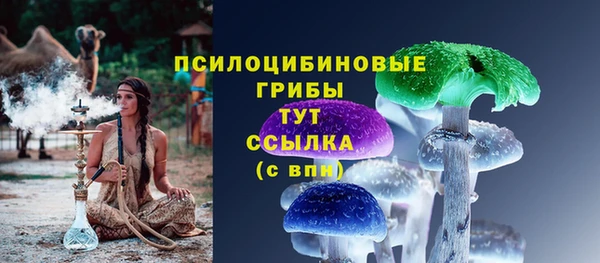 меф Белокуриха