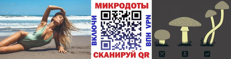 Псилоцибиновые грибы мицелий  мориарти формула  Надым 