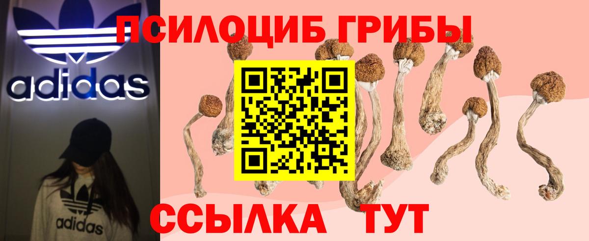 Галлюциногенные грибы Cubensis  дарнет шоп  Надым  Вход с VPN  Галлюциногенные грибы GOLDEN TEACHER 
